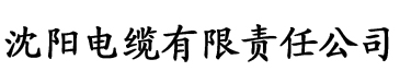 香蕉视频污入口电缆厂logo